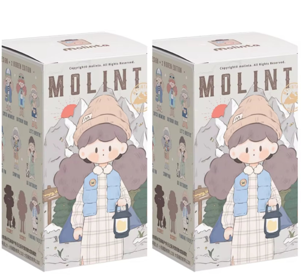 Molinta Camping Vlog Series Blind Box